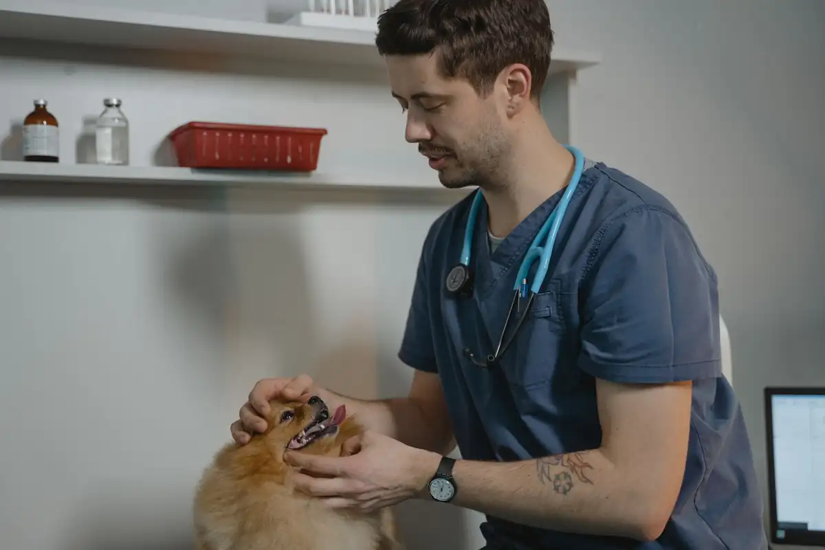 Atendimento veterinário completo